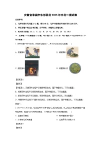 安徽省淮南市东部联考2025年中考二模 化学试卷（解析版）
