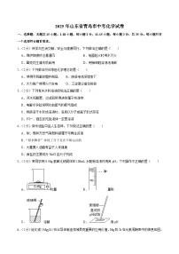 2025年山东省青岛市中考化学试卷及答案
