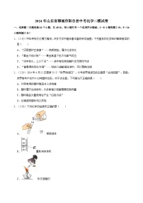 2024年山东省聊城市阳谷县中考化学二模试卷 (1)（含解析）