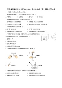 河北省石家庄市长安区2024-2025学年九年级（上）期末化学试卷（解析版）