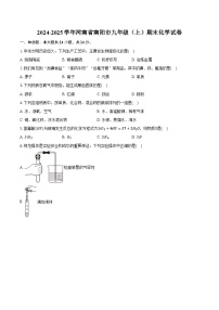 河南省南阳市2024-2025学年九年级（上）期末化学试卷
