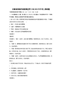 安徽省淮南市谢家集区等3地2025年中考二模化学试卷（解析版）