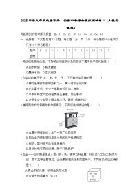 2025年春九年级化学下册  安徽中考综合模拟测试卷二（人教安徽版）