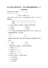 2025年春九年级化学下册 辽宁中考综合模拟测试卷二（人教辽宁版）