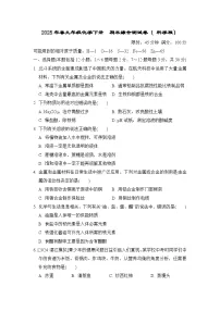 2025年春九年级化学下册 期末综合测试卷（ 科学版）