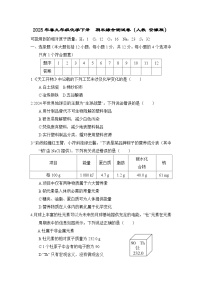 2025年春九年级化学下册  期末综合测试卷（人教 安徽版）