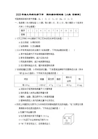 2025年春九年级化学下册 期末综合测试卷（人教 安徽版）