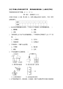 2025年春九年级化学下册  期末综合测试卷（人教辽宁版）