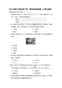 2025年春九年级化学下册  期末综合测试卷（人教山西版）