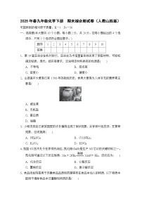 2025年春九年级化学下册 期末综合测试卷（人教山西版）