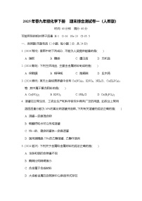 2025年春九年级化学下册  期末综合测试卷一（人教版）