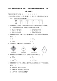2025年春九年级化学下册 山西中考综合模拟测试卷二（人教山西版）