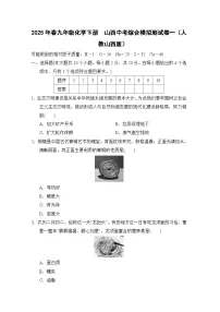 2025年春九年级化学下册 山西中考综合模拟测试卷一（人教山西版）