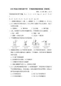 2025年春九年级化学下册  中考综合模拟测试卷（科学版）