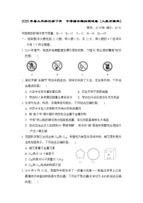 2025年春九年级化学下册 中考综合模拟测试卷（人教安徽版）