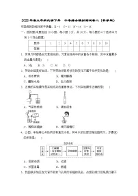 2025年春九年级化学下册 中考综合模拟测试卷二（科学版）