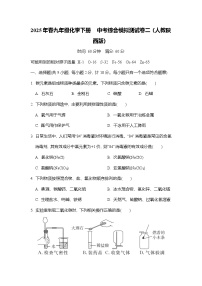 2025年春九年级化学下册 中考综合模拟测试卷二（人教陕西版）