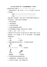 2025年春九年级化学下册 中考综合模拟测试卷三（科学版）