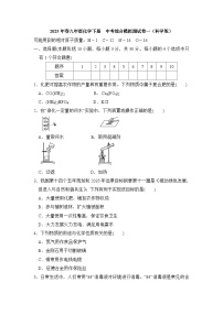2025年春九年级化学下册 中考综合模拟测试卷一（科学版）