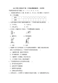 2025年春九年级化学下册 中考综合模拟测试卷一（科学版）