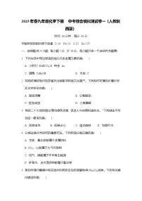 2025年春九年级化学下册 中考综合模拟测试卷一（人教陕西版）