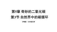 沪教版（2024）九年级上册（2024）自然界中的碳循环教课内容课件ppt