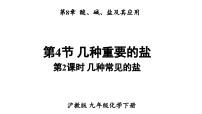 沪教版（2024）九年级下册（2024）几种重要的盐集体备课ppt课件