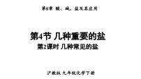 沪教版（2024）九年级下册（2024）几种重要的盐集体备课ppt课件