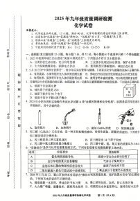 【9化二模】2025年安徽省合肥市蜀山区九年级中考二模化学试卷（含答案）