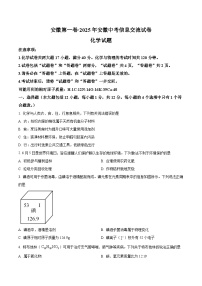 【9化一模】2025年安徽省阜阳市阜南县中考一模化学试题