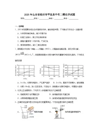 2025年山东省临沂市平邑县中考二模化学试题（附答案解析）