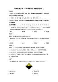 河南省新乡市2025年学业水平中考模拟测评(二)化学试卷（解析版）