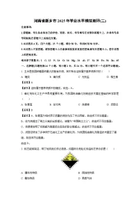 河南省新乡市2025年学业水平中考模拟测评(二)化学试卷（解析版）