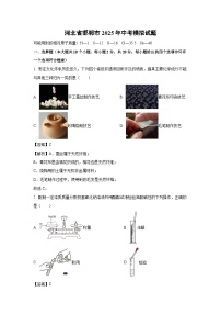 河北省邯郸市2025年中考模拟化学试卷（解析版）