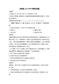 河南省2025年中考模拟 (1)化学试卷（解析版）
