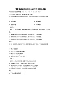 甘肃省武威市凉州区2025年中考模拟化学试卷（解析版）