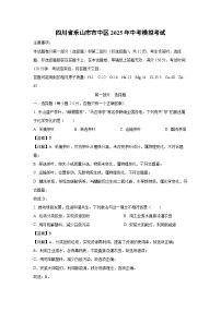 四川省乐山市市中区2025年中考模拟考试化学试卷（解析版）