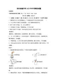 【化学】四川省遂宁市2025年中考模拟试题（解析版）