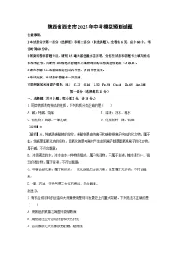 【化学】陕西省西安市2025年中考模拟预测试题（解析版）