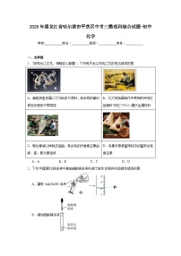 2025年黑龙江省哈尔滨市平房区中考三模理科综合试题-初中化学（附答案解析）