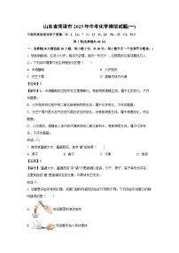 【化学】山东省菏泽市2025年中考化学模拟试题(一)（解析版）