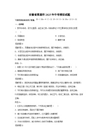 【化学】安徽省芜湖市2025年中考模拟试题（解析版）
