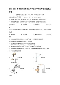 2024-2025学年重庆市垫江县九年级上学期化学期末试题及答案