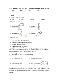 2025年湖北省武汉市武昌区6月中考模拟理化试卷-初中化学（附答案解析）
