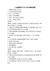 广东省雷州市2025年中考模拟化学试卷（解析版）