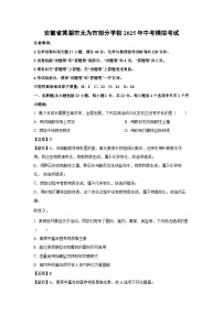 安徽省芜湖市无为市部分学校2025年中考模拟考试化学试卷（解析版）