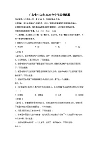 广东省中山市2025年中考三模化学试卷（解析版）