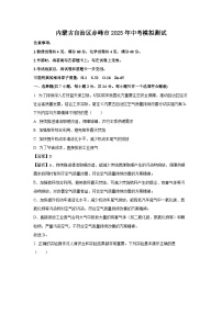 内蒙古自治区赤峰市2025年中考模拟测试化学试卷（解析版）