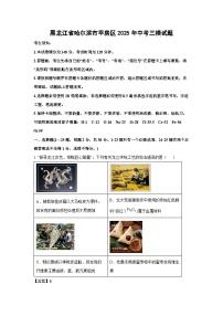 黑龙江省哈尔滨市平房区2025年中考三模化学试卷（解析版）