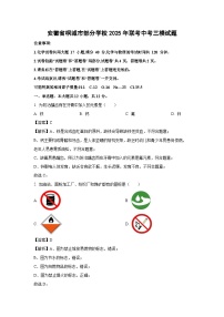 安徽省桐城市部分学校2025年联考中考三模化学试卷（解析版）